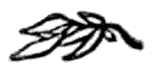 img22.png