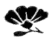img7.png