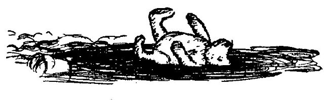 img11.jpg