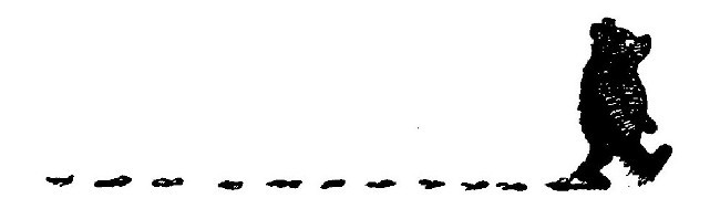 img12.jpg