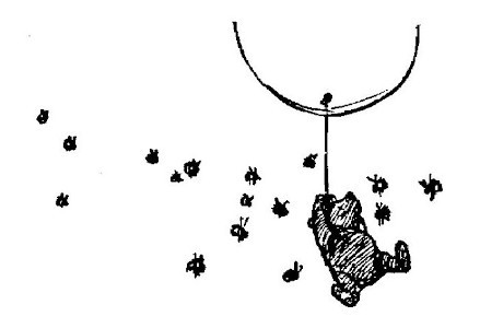 img13.jpg