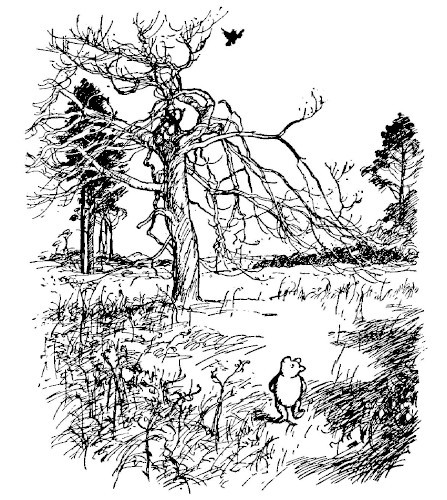img20.jpg