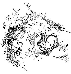 img23.jpg