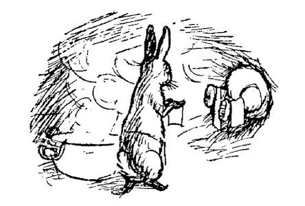 img25.jpg
