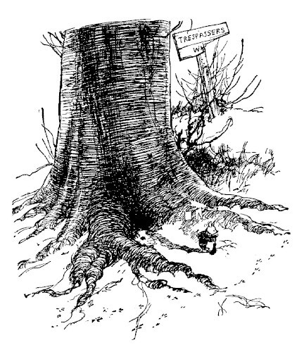 img27.jpg