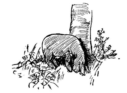 img34.jpg