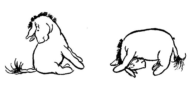 img42.jpg
