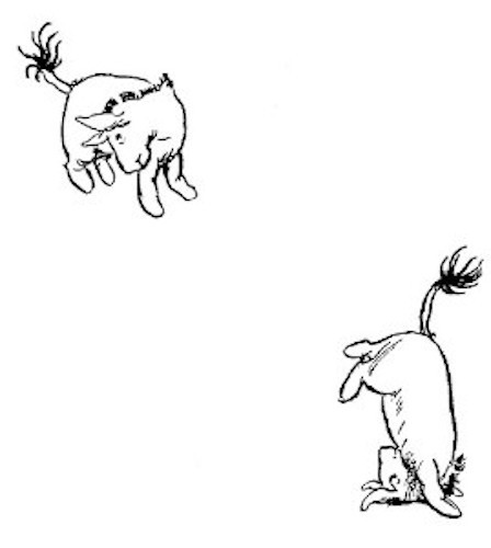 img43.jpg