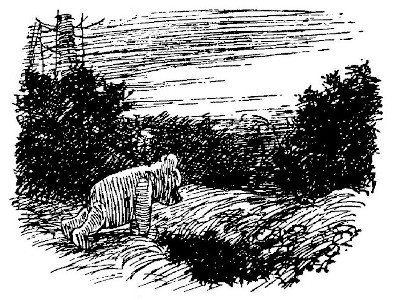 img49.jpg