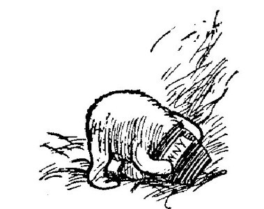 img50.jpg