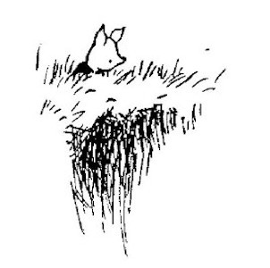 img52.jpg