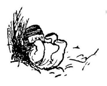 img55.jpg