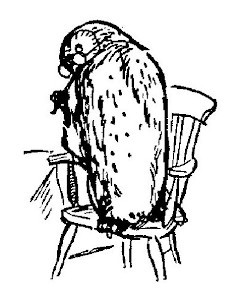 img64.jpg