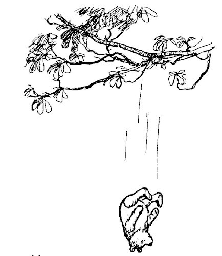 img7.jpg