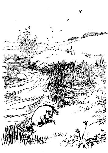 img90.jpg