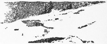 img6.jpg