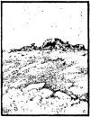 img24.png