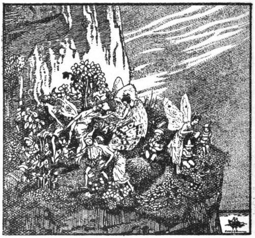 img1.jpg