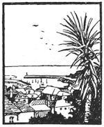 img17.jpg