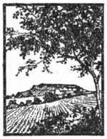 img10.jpg