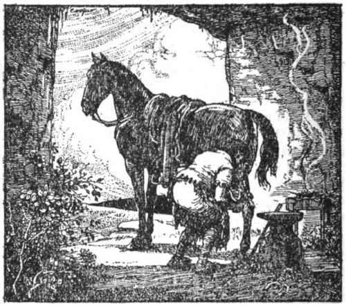 img17.jpg