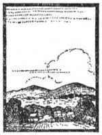 img6.jpg