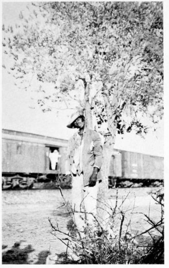img10.jpg