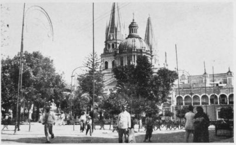 img13.jpg
