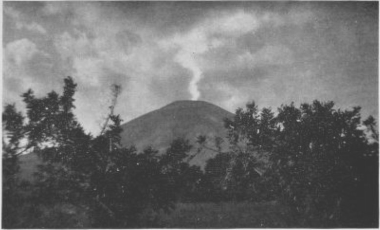 img21.jpg