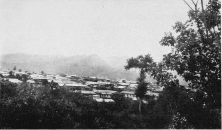 img35.jpg