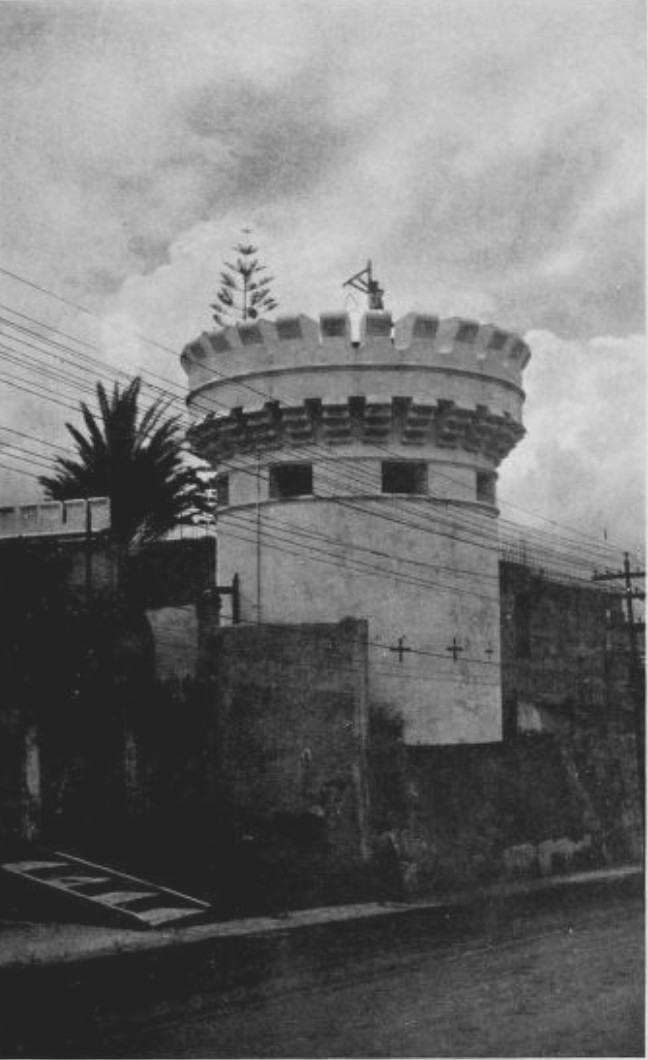 img36.jpg