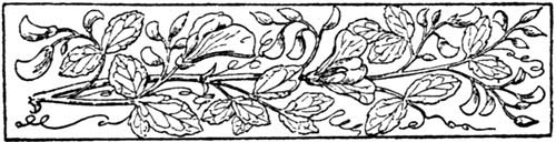 img5.jpg