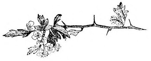 img12.jpg