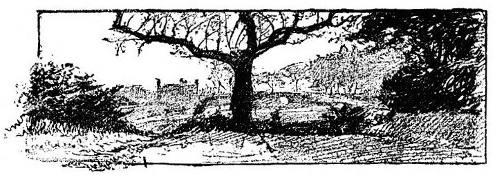 img15.jpg