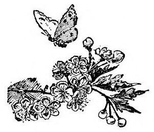 img16.jpg