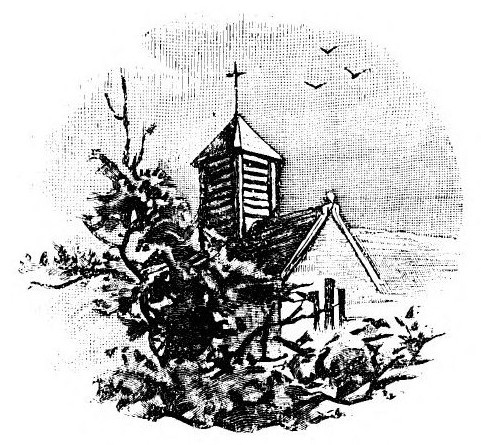 img18.jpg