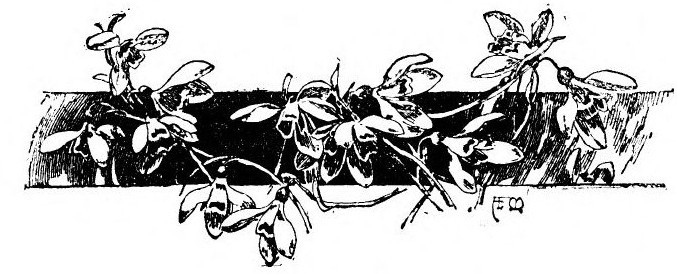img20.jpg
