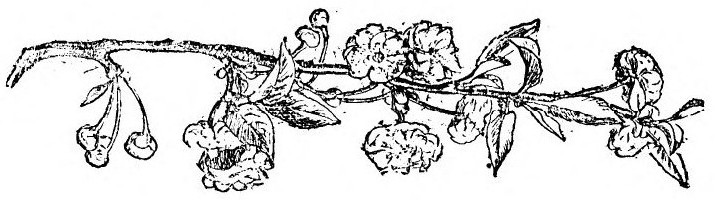 img21.jpg
