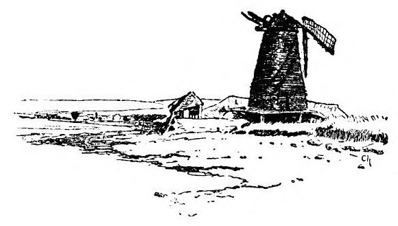 img22.jpg