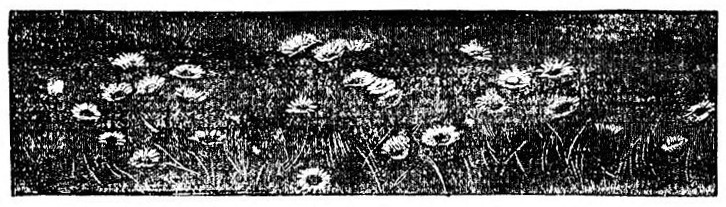 img23.jpg