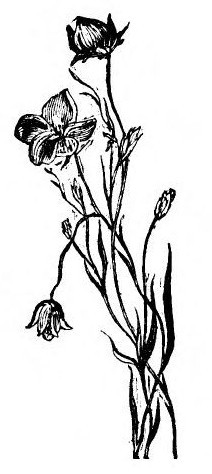 img24.jpg