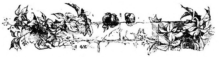 img25.jpg