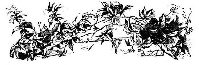 img27.jpg