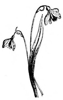 img29.jpg