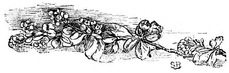 img31.jpg
