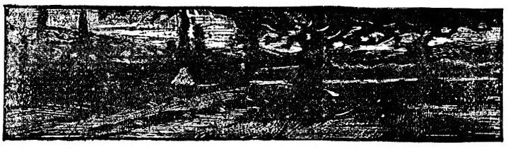 img35.jpg