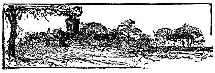img36.jpg