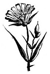 img37.jpg