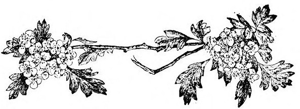 img4.jpg