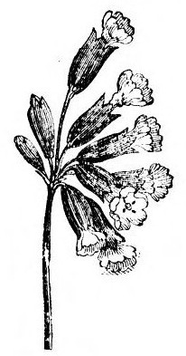 img45.jpg
